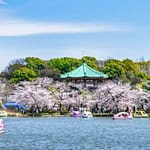 Experience the Cultural Attractions and Green Spaces of Ueno